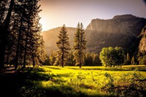 Five California State Parks to Visit This Summer
