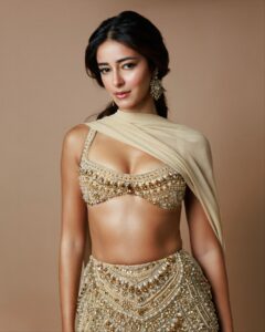 Ananya Panday Flaunts Her Glamorous Bralette Look